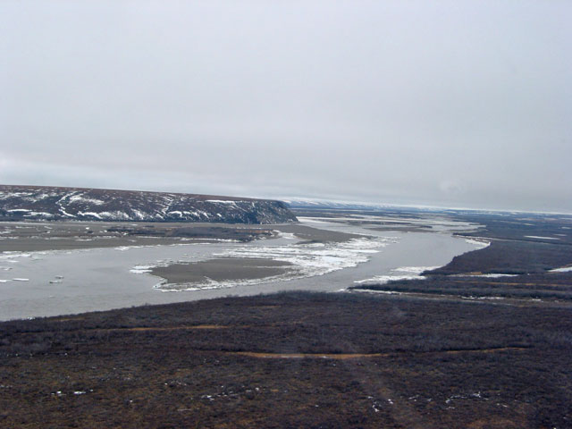 photo of upstream view of Colville River at Umiat