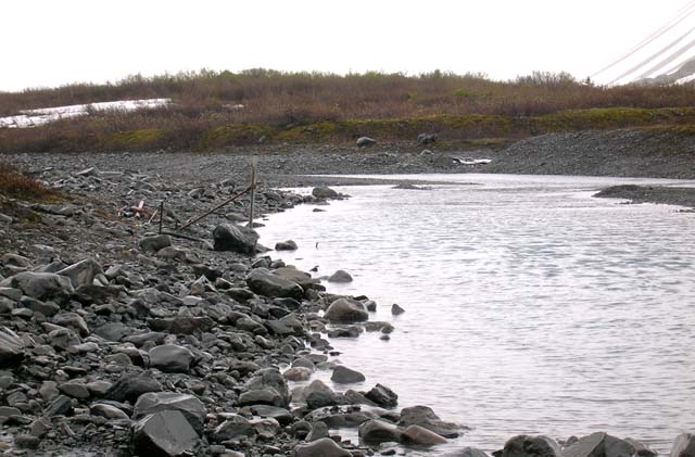 photo of the downstream view at Upper Nuka River near park boundary near Homer