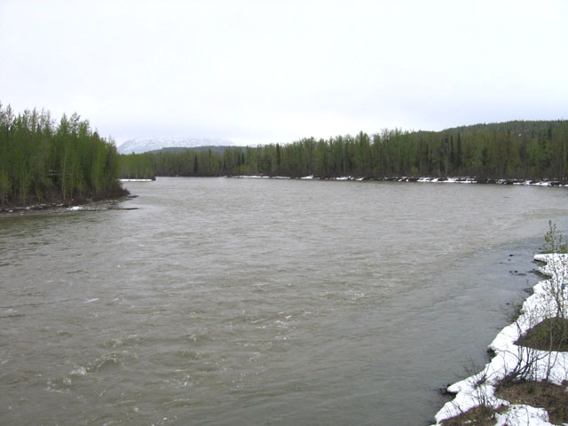 photo of the upstream view of the Susitna River at Gold Creek