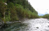 photo of the downstream view of Spruce Creek near Seward