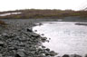 photo of the downstream view at Upper Nuka River near park boundary near Homer