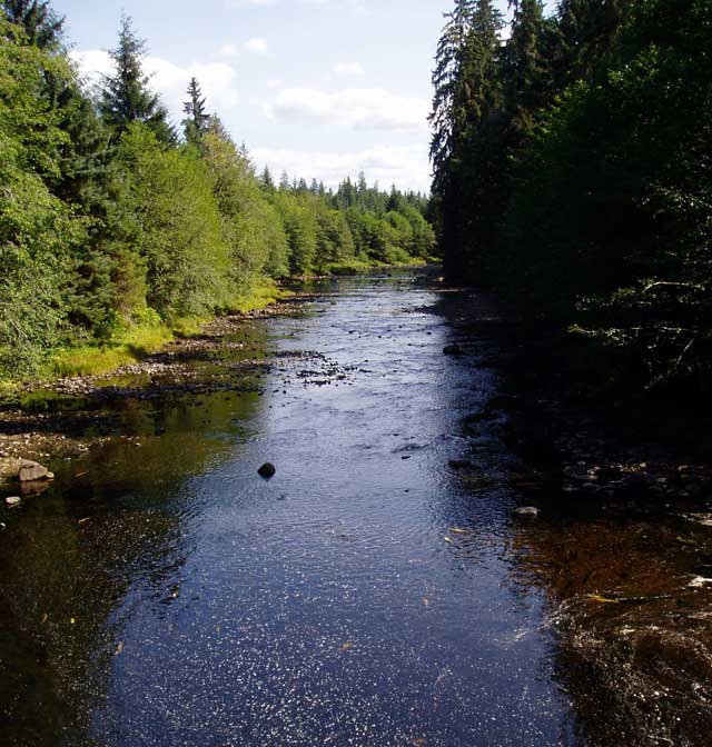 photo of upstream view of Staney Creek near Klawock
