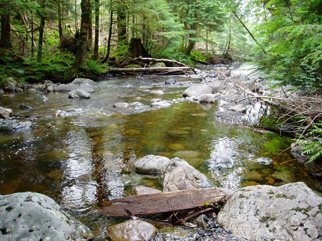 photo of downstream view of Halfmile Creek above diversion near Klawock