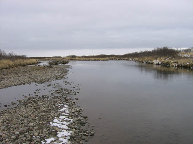 photo of downstream view of Russell Creek near Cold Bay