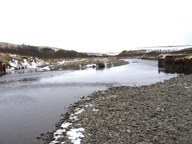 photo of upstream view of Russell Creek near Cold Bay