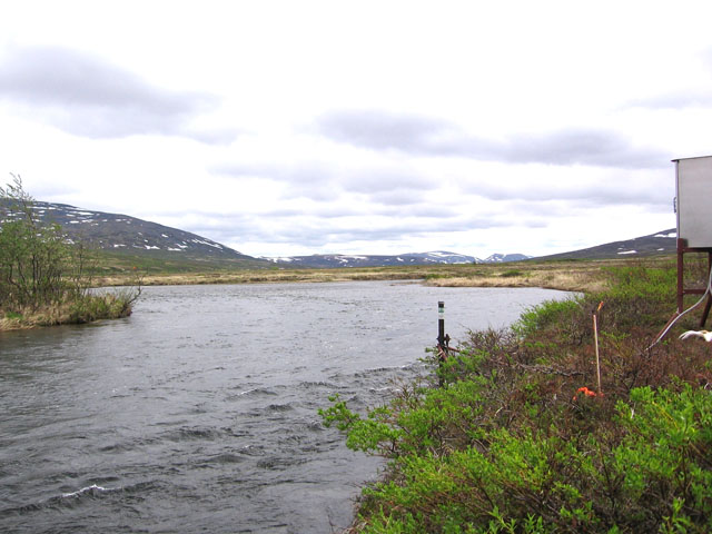 photo of upstream view of Koktuli River near Iliamna