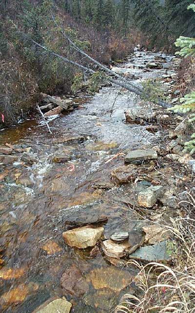 photo of upstream view of Wade Creek Tributary near Chicken