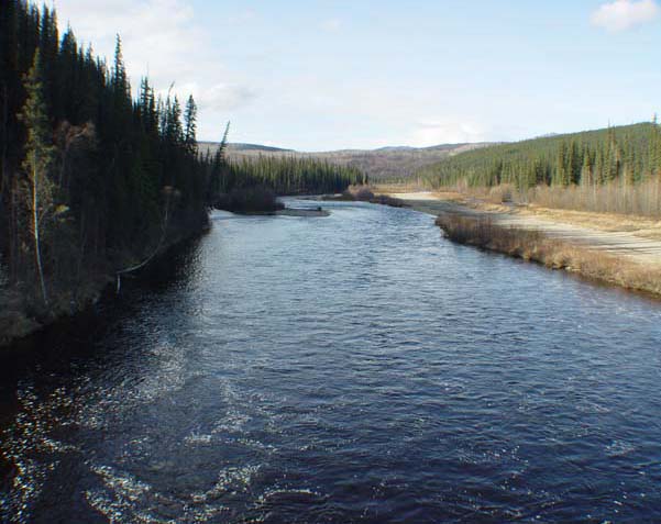 photo of the upstream view of the Goodpaster River near Big Delta