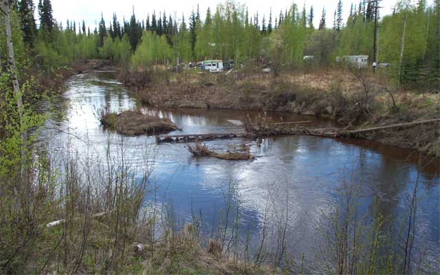 photo of the view downstream on the Little Chena River near Fairbanks
