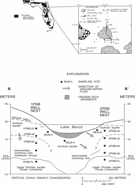 Figure 1. Location map of Lake Barco study area and cross section showing hydrogeologic framework and location of sampling sites.