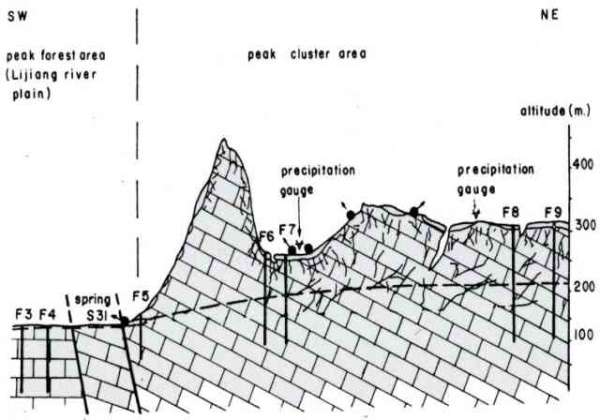Figure 4. Cross-section through the Guilin experimental site, showing location of Spring 31 (from Yuan, et al. 1990). The karst tower adjacent to Spring 31 in the diagram is the tall one in Figure 3.