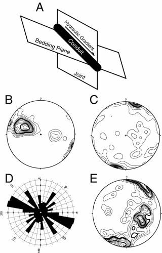 Figure 2.Diagrammatic representations of the importance of the intersection of bedding planes and joints to conduit development.