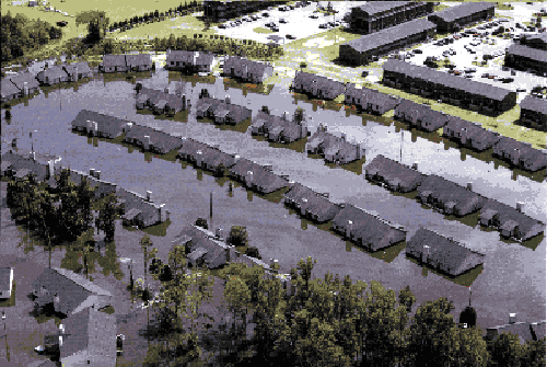 Flooded subdivision in Greenville, N.C.