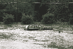 Car flooded in Greenville, N.C.