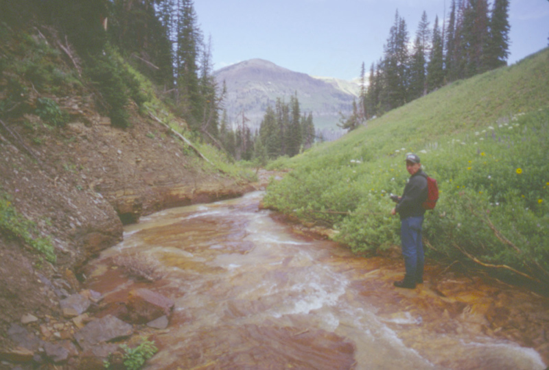 Figure 3.  Middle, high-gradient reach of Daisy Creek looking downstream near site 7,324.  Photograph by D.A. Nimick.