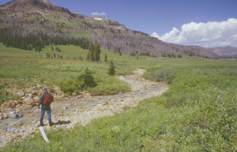 Figure 4.  Downstream, low-gradient reach of Daisy Creek.  View is downstream near site 9,925.  Stillwater River flows from left to right in front of partly burnt forest.  Photograph by D.A. Nimick.