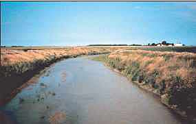 Photo showing stream with no trees