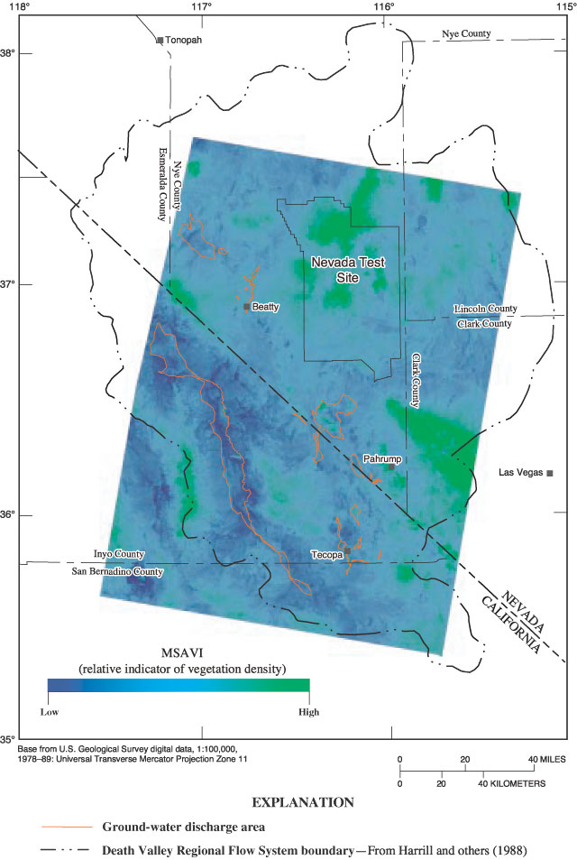 Map showing modified soil-adjusted vegetation index (MSAVI) of Death Valley regional flow system.