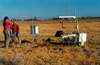 Thumbnail image of photograph showing evapotranspiration site, saltgrass.