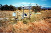 Thumbnail image of photograph showing evapotranspiration site, dense meadow vegetation.