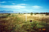 Thumbnail image of photograph showing Carson Meadow well (dense grassland).