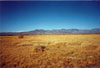 Thumbnail image of photograph showing bunch and saltgrass meadows.