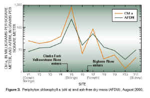 Figure 3.  Periphyton chlorophyll a (chl a) and ash-free dry mass (AFDM), August 2000.