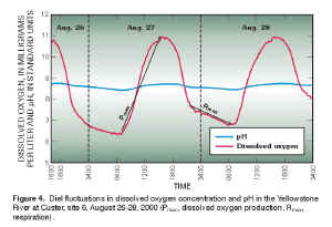 Figure 4.  Diel fluctuations in dissolved oxygen concentration and pH in the Yellowstone River at Custer, site 6, August 26-28, 2000 (Pmax, dissolved oxygen production, Rmax, respiration).