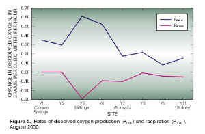 Figure 5.  Rates of dissolved oxygen production (Pmax) and respiration (Rmax), August 2000.