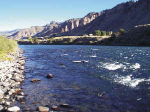 Photo 1. View looking downstream in the Yellowstone River at Corwin Springs (site Y1). 