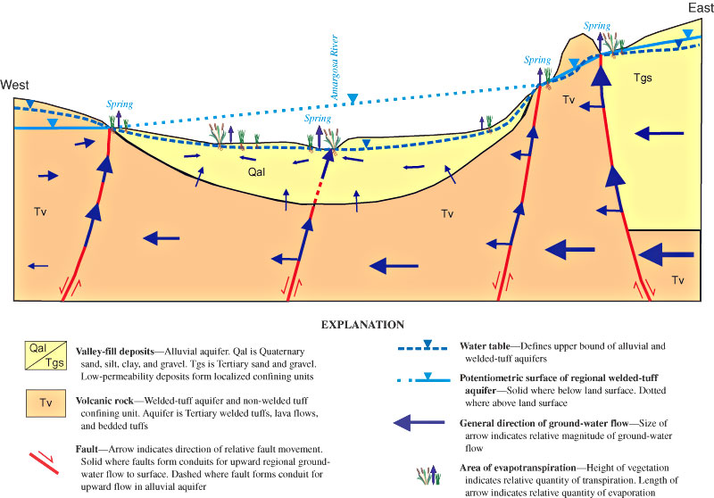Generalized cross-section showing local hydrographic and geologic features controlling ground-water flow and discharge in Oasis Valley, Nevada.