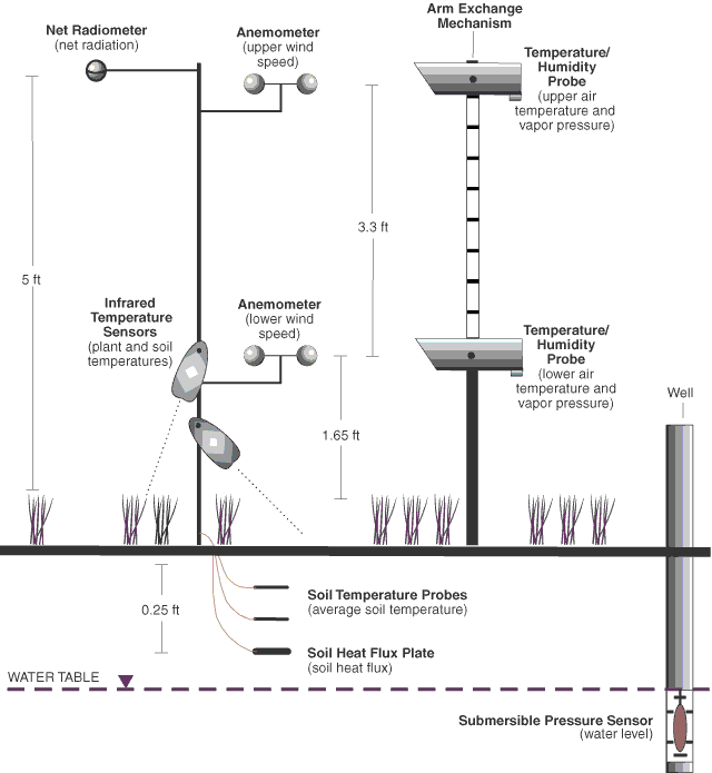 Schematic diagram of instrumentation arrangements installed to measure micrometeorological and water-level data used to determine evapotranspiration from Oasis Valley discharge area, Nevada.
