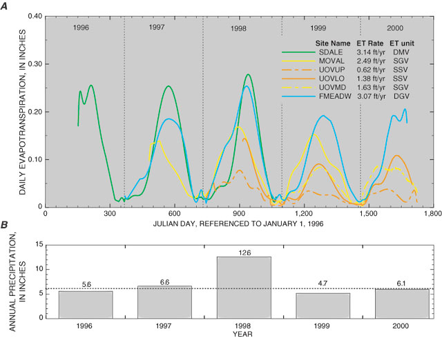 Charts showing (A) Calculated daily evapotranspiration (ET) at five sites in Oasis Valley discharge area and one site (FMEADW) in Ash Meadows discharge area, and (B) measured annual precipitation in Oasis Valley, Nevada, 1996-2000.