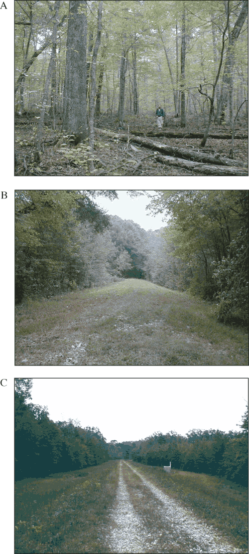 Figure B1. Photographs showing vegetation and topography of (A) the Sinking Pond spillway and the constructed berms at (B) Westall Swamp and (C) Huckleberry Creek.