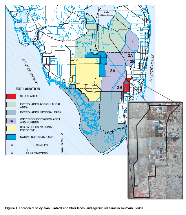 Figure 1.  Lodcation of study area, Federal and State lands, and agricultural areas in southern Florida.