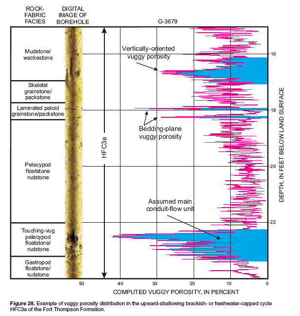 Figure 28.  Example of vuggy porosity distribution in the upward-shallowing brackish- or freshwater-capped cycle HFC3a of the Fort Thompason Formation.