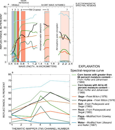 Graphs showing spectral-response curves for land covers of different vegetation and soil conditions: (A) Continuous field or laboratory derived reflectance, (B) reflectance as developed for thematic map channels 1,2,3,4,5, and 7.