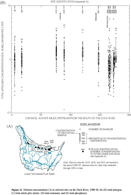 Figure 11. Nutrient concentrations (A) at selected sites on the Duck River, 1980-96, for (B) total nitrogen, (C) total nitrite plus nitrate, (D) total ammonia, and (E) total phosphorus.