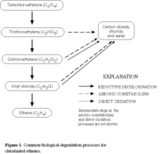 Figure 1. Common biological degradation processes for chlorinated ethenes.