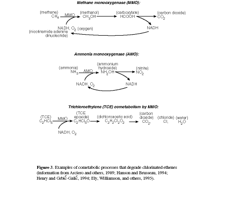 Figure 3. Examples of cometabolic processes that degrade chlorinated ethenes.